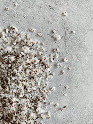 Close-up of ground pepper on a light gray surface